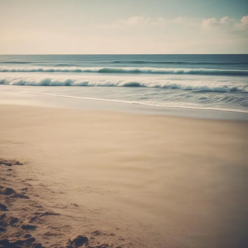 Calm Shores cover